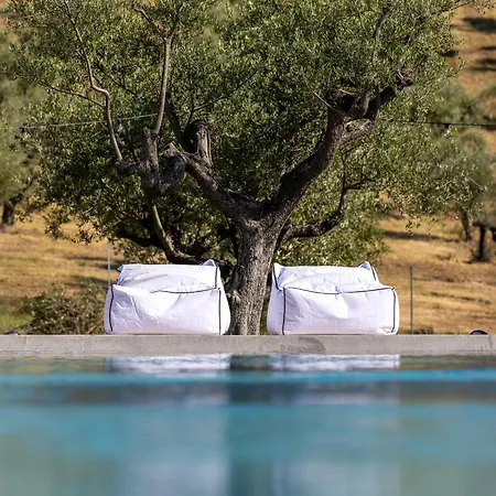 Casa Plenilia Bed and Breakfast